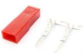 Conector JST Macho Modelismo